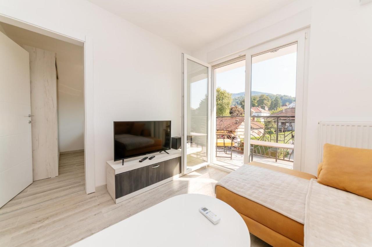 Apartman Jovana Banja Koviljaca Ngoại thất bức ảnh